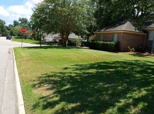 1 Crawfordville Fl Lawn Care Service Lawn Mowing From 19 Best 2020