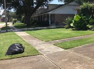 1 Crawfordville Fl Lawn Care Service Lawn Mowing From 19 Best 2020