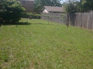 1 Crowley Tx Lawn Care Service Lawn Mowing From 19 Best 2020