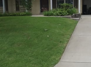 1 Crowley Tx Lawn Care Service Lawn Mowing From 19 Best 2020