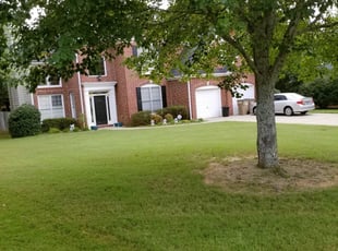 Cumming Ga Lawn Care Service Lawn Mowing From 19 Rated Best 2020