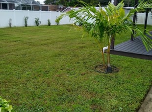 Cypress Tx Landscaping From 29 1 Landscapers Best Of 2020