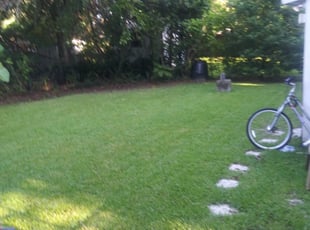 1 Cypress Tx Lawn Care Service Lawn Mowing From 19 Best 2020