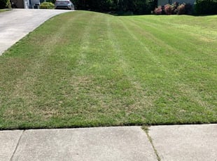 1 Dacula Ga Lawn Care Service Lawn Mowing From 19 Best 2020