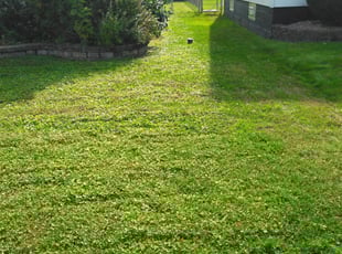 Dade City Fl Lawn Care Service Lawn Mowing From 19 Rated Best 2020