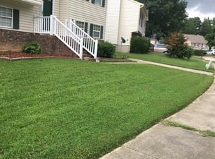 1 Dallas Ga Lawn Care Service Lawn Mowing From 19 Best 2020