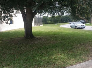 1 Davenport Fl Lawn Care Service Lawn Mowing From 19 Best 2020