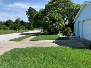 Dawsonville Ga Lawn Care Service Lawn Mowing From 19 Rated Best 2020