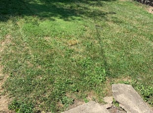 Dayton Oh Lawn Care Service Lawn Mowing From 19 Rated Best 2020
