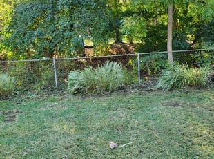 Dayton Oh Lawn Care Service Lawn Mowing From 19 Rated Best 2020