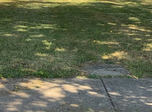 Dayton Oh Lawn Care Service Lawn Mowing From 19 Rated Best 2020
