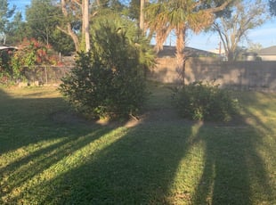 Dayton Oh Lawn Care Service Lawn Mowing From 19 Rated Best 2020