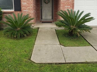 Dayton Oh Lawn Care Service Lawn Mowing From 19 Rated Best 2020