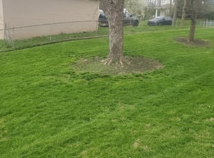 Codes For Yard Work Simulator 2020