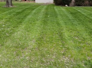 Dayton Oh Lawn Care Service Lawn Mowing From 19 Rated Best 2020