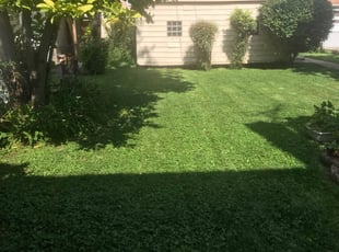 The 10 Best Lawn Care Services In Spokane Wa From 27