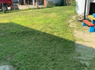 1 Dearborn Heights Mi Lawn Care Service Lawn Mowing From 19 Best 2020