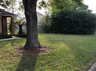 Deer Park Tx Lawn Care Service Lawn Mowing From 19 Rated Best 2020