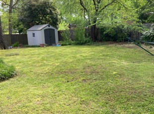 Deer Park Tx Lawn Care Service Lawn Mowing From 19 Rated Best 2020