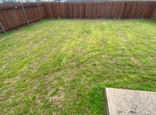 1 Del Valle Tx Lawn Care Service Lawn Mowing From 19 Best 2020