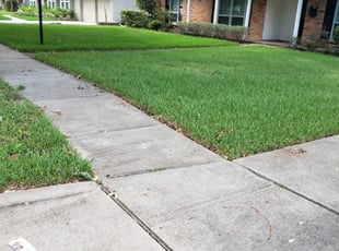 1 Deland Fl Lawn Care Service Lawn Mowing From 19 Best 2020