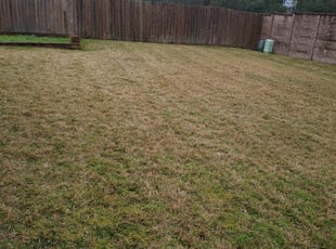 1 Delray Beach Fl Lawn Care Service Lawn Mowing From 19 Best 2020