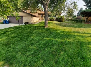 1 Denton Tx Lawn Care Service Lawn Mowing From 19 Best 2020