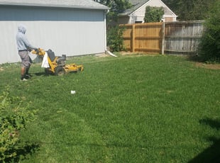 1 Denver Co Lawn Care Service Lawn Mowing From 19 Best 2020