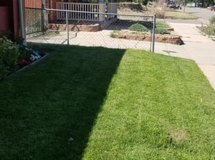 1 Denver Co Lawn Care Service Lawn Mowing From 19 Best 2020