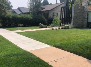 1 Denver Co Lawn Care Service Lawn Mowing From 19 Best 2020