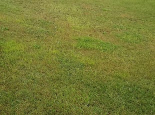 Des Moines Ia Lawn Care Service Lawn Mowing From 19 Rated Best 2020