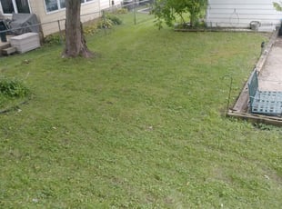 Des Moines Ia Lawn Care Service Lawn Mowing From 19 Rated Best 2020