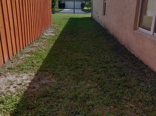 Des Moines Ia Lawn Care Service Lawn Mowing From 19 Rated Best 2020