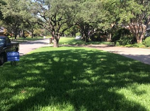Des Plaines Il Lawn Care Service Lawn Mowing From 19 Rated Best 2020