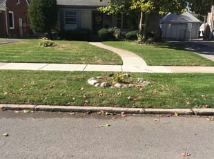 Detroit Mi Lawn Care Service Lawn Mowing From 19 Rated Best 2020