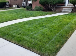 Detroit Mi Lawn Care Service Lawn Mowing From 19 Rated Best 2020