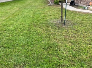 1 Dickson Tn Lawn Care Service Lawn Mowing From 19 Best 2020