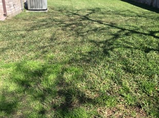 1 District Heights Md Lawn Care Service Lawn Mowing From 19 Best 2020