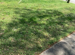 17 Best Lawn Care Services in Douglasville, GA 2020 ...