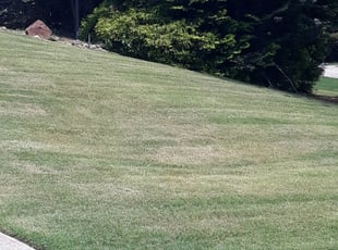 Douglasville Ga Lawn Care Service Lawn Mowing From 19 Rated Best 2020