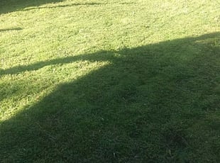 1 Downers Grove Il Lawn Care Service Lawn Mowing From 19 Best 2020