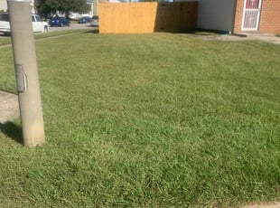 1 Drummonds Tn Lawn Care Service Lawn Mowing From 19 Best 2020