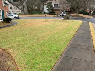 Duluth Ga Lawn Care Service Lawn Mowing From 19 Rated Best 2020