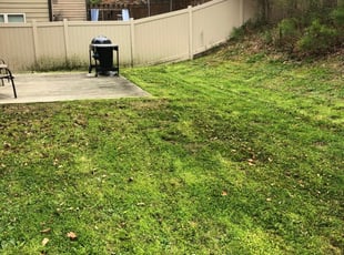 Duluth Ga Lawn Care Service Lawn Mowing From 19 Rated Best 2020