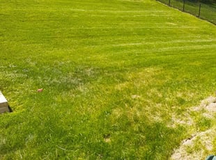 Duluth Ga Lawn Care Service Lawn Mowing From 19 Rated Best 2020