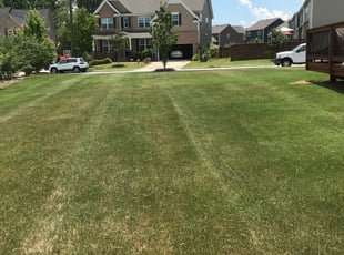 Duluth Ga Lawn Care Service Lawn Mowing From 19 Rated Best 2020