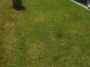 1 Dumfries Va Lawn Care Service Lawn Mowing From 19 Best 2020