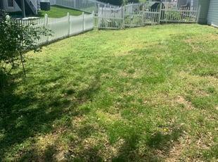 1 Dumfries Va Lawn Care Service Lawn Mowing From 19 Best 2020