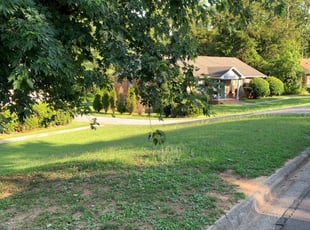 1 Durham Nc Lawn Care Service Lawn Mowing From 19 Best 2020