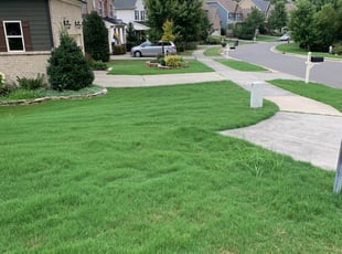 1 Durham Nc Lawn Care Service Lawn Mowing From 19 Best 2020